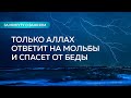 Только Аллах ответит на мольбы и спасёт от беды | Ринат Абу Мухаммад