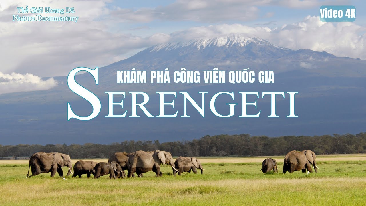 Khám Phá SERENGETI - Vùng Đất Của Những Kẻ Săn Mồi 