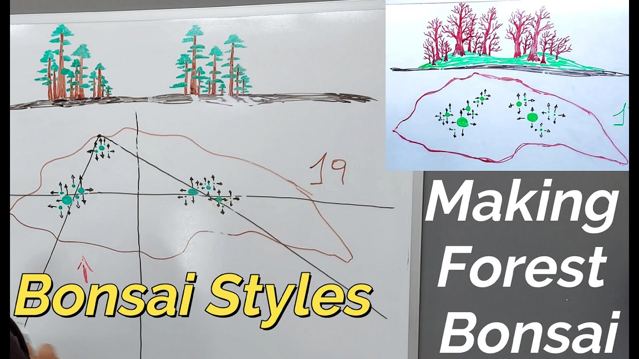 making forest bonsai | styles
