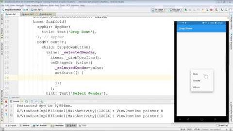 Flutter 2. DropDown Button