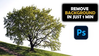 Photoshop Tutorial || Remove Tree Background Photoshop || Photoshop Tips & Tricks || 1-Min Photoshop screenshot 4