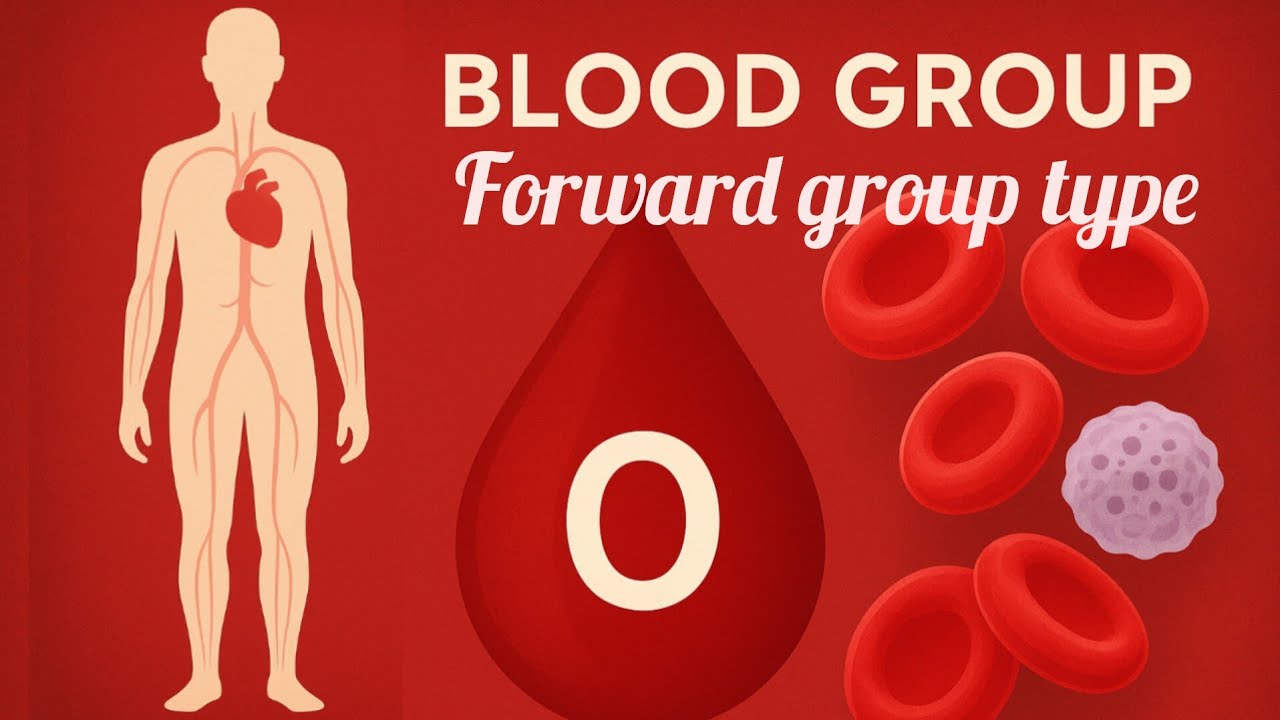 🩸 Blood Group Forward Grouping | Human Body & Blood Cells Explained in Hindi