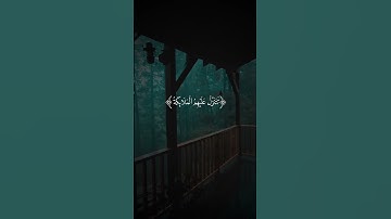 سورة فصلت - القارئ نور الدين سليم