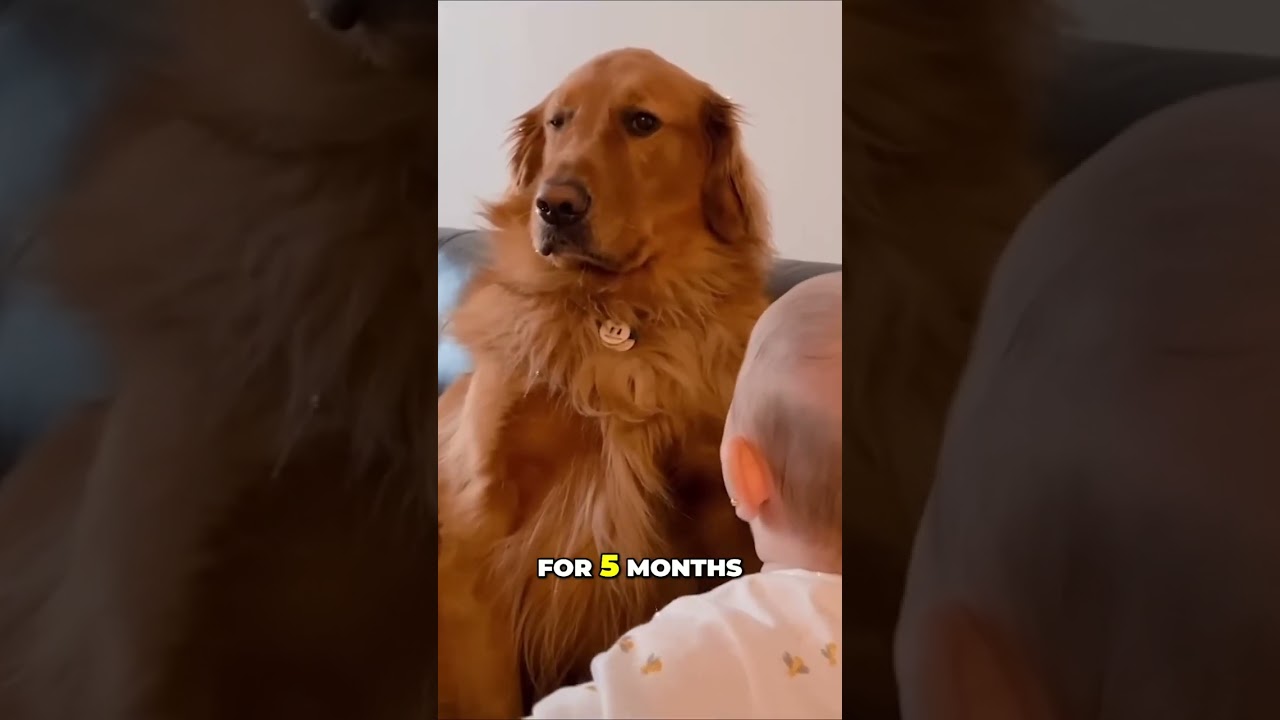 Sibling Bonding 101: The Importance of Touch and Connection