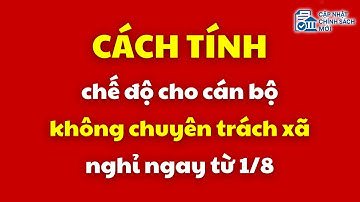 Cách tính chế độ cho cán bộ không chuyên trách xã nghỉ ngay từ 1/8  | cán bộ không chuyên trách xã