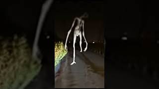 Funny Trevor Henderson Monsters In Luma Ai 3