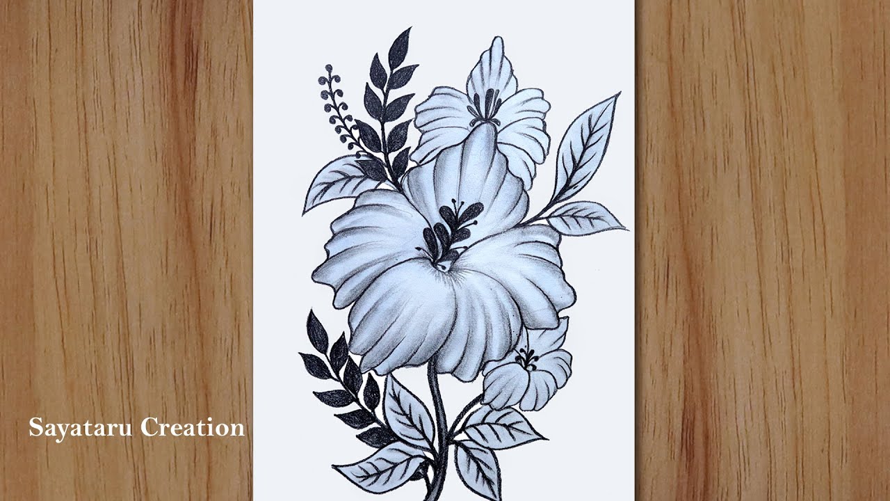 Draw A Hibiscus Flower 🌺 | China Rose Drawing Easy | জবা ফুল আঁকা । Rupar  Rong Pencil | Hibiscus drawing, Hibiscus flower drawing, Fruits drawing