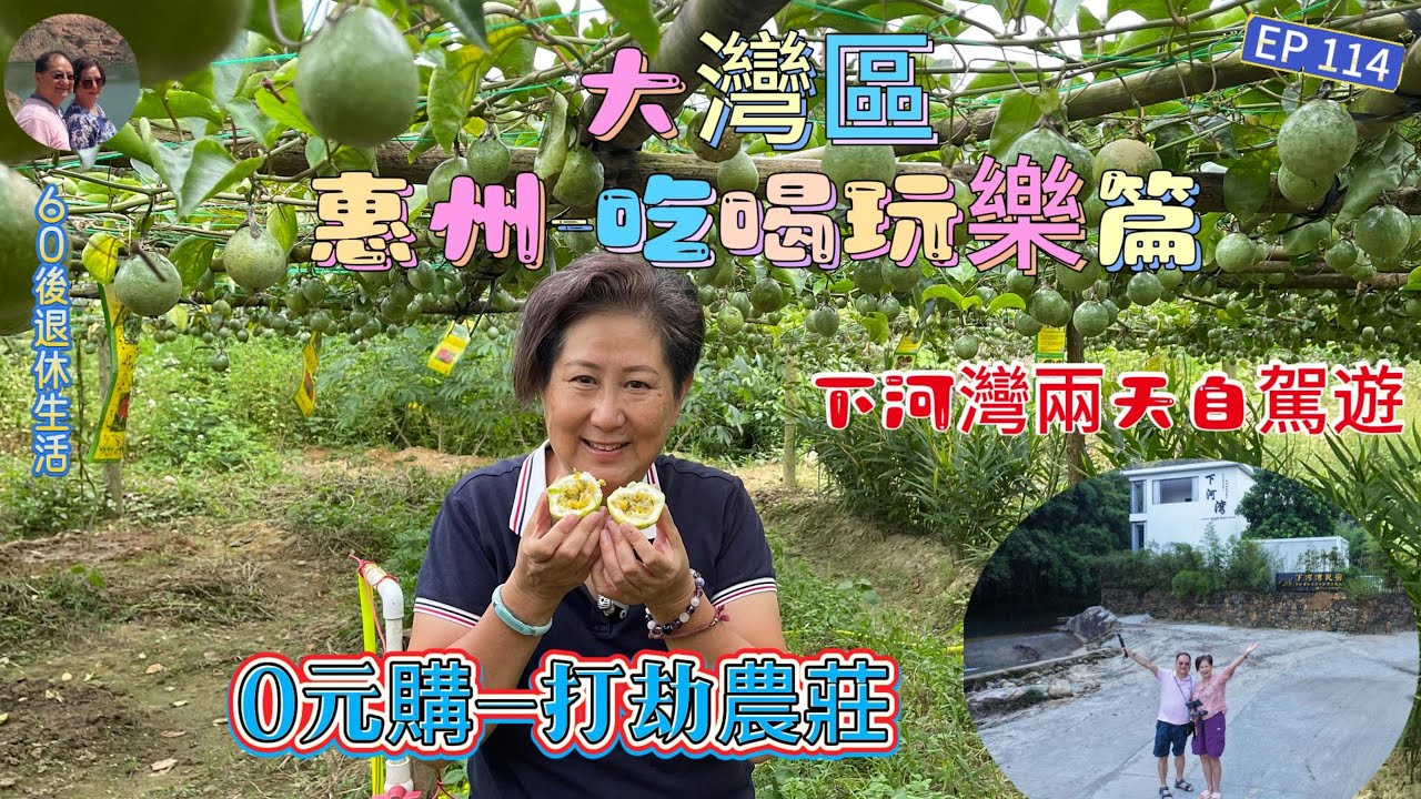 349.惠州-大灣區--吃喝玩樂篇（EP114) ，#惠州市  #羅浮山 #下河灣 #自駕遊#0元購 #打劫朋友農場 #自摘農作物 #農家菜