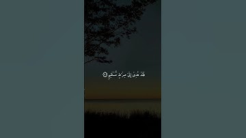 سورة آل عمران { ١٠٠ ــ ١٠٢ } #ياسر_الدوسري #انشر_تؤجر #قرآن