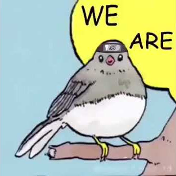 WE ARE FIGHTING DREAMERS