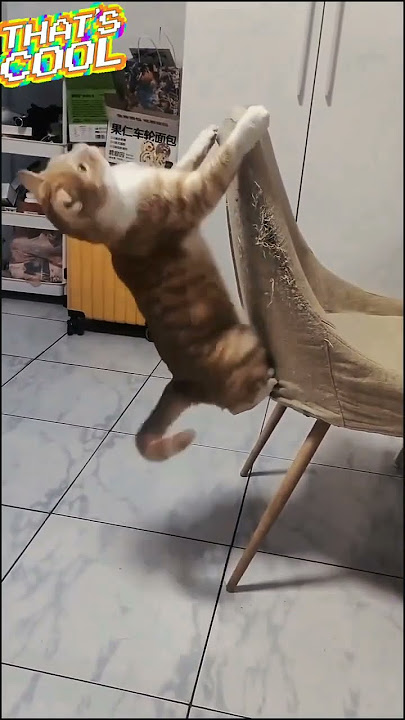 si oyen lagi dugem 😆 #funny