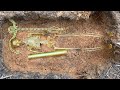 Unexpectedly Come To Us 1 Treasure Very Rare Value Of Ancient People It's Very Rare (12 Zodiacs)