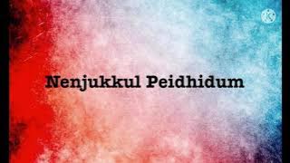 Nenjukkul Peidhidum song lyrics |song by Hariharan,Harris Jayaraj,Devan Ekambaram and Prasanna.V.V