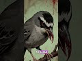 The Butcher of the Woods #shorts #youtubeshorts #shrike #ButcherBird #natureismetal #scarynature