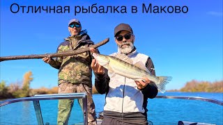 Рыбалка в Маково. Астрахань 2025 #судак #щука #жерех