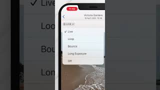 How to Loop a  Video on iPhone, Android, and Computer - iGeeksBlog