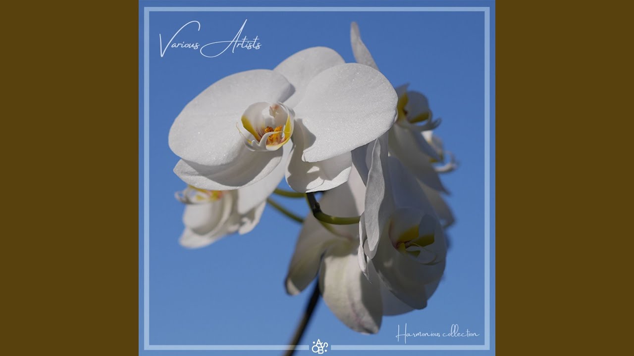 Watch The Fallout on YouTube Watch The Fallout on YouTube