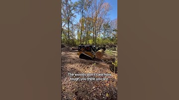 Let’s get it! 💪🪓 #treeremovalservices #subscribe #chainsaw #johndeereskidsteer #like #logging