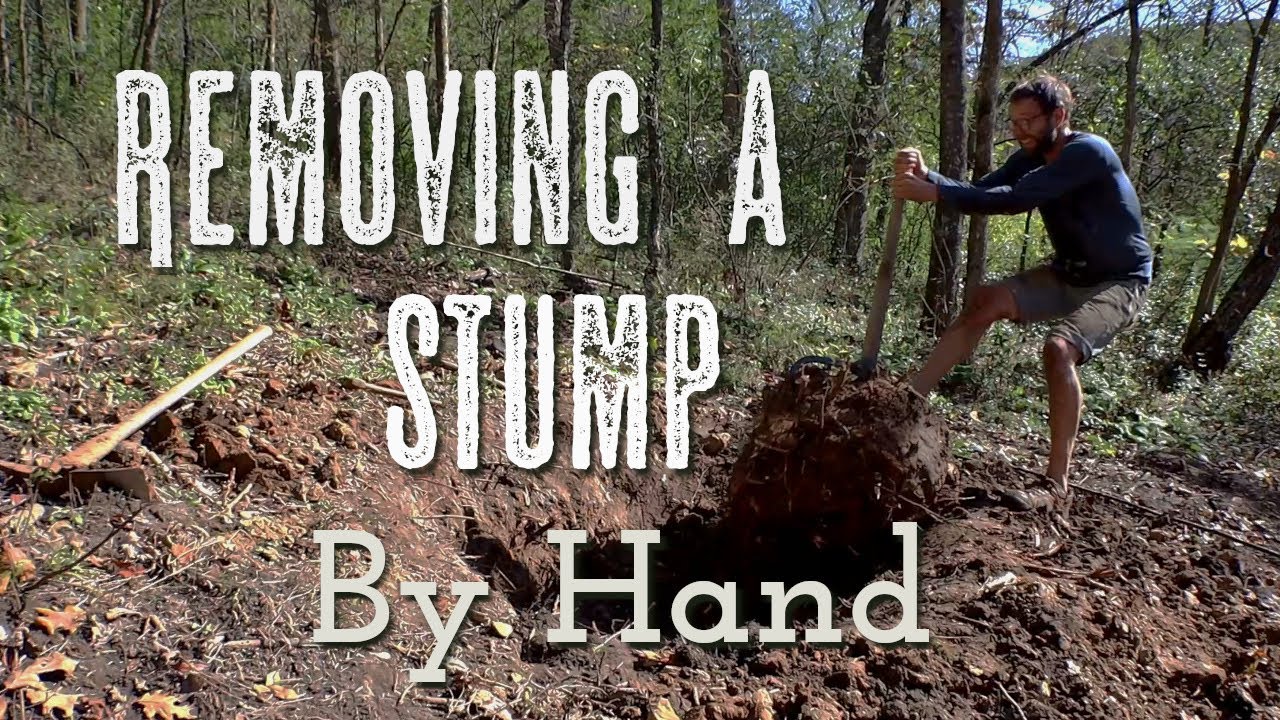 Removing a Tree Stump By Hand - YouTube