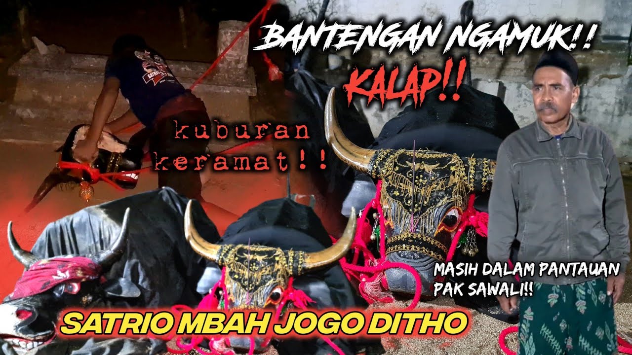 HOROR! Bantengan satrio mbah jogo ditho masuk KUBURAN!! kalap demit barongan angker!
