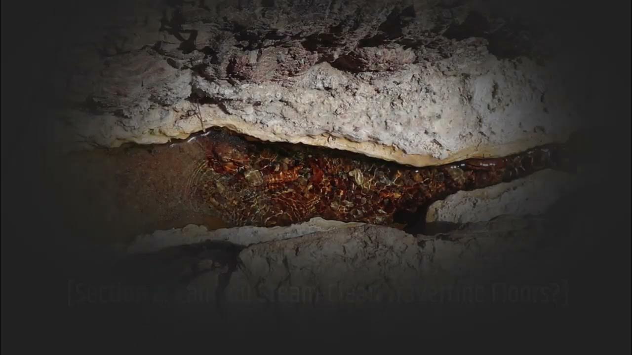 Can You SteamClean Travertine Floors? YouTube