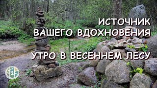 Весенний ручеек и гомон птиц поднимет настроение и восстановит силы!