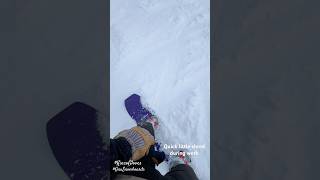 Love this new Gnu Gremlin board  #Gnu  #kinco #snowboarding #trending #trendingshorts