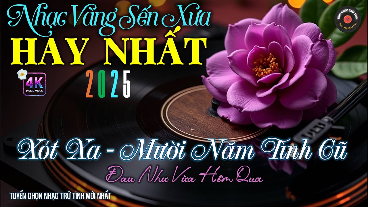 Nhạc BOLERO Trữ Tình HAY NHẤT, Độc Lạ 2025 - Nhạc Vàng Sến Xưa Chọn Lọc CỰC HAY, CỰC SAY MÊ MẨN