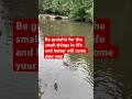 Be grateful for the small things in life. #narration #motivation #motivational #river #ducks #water