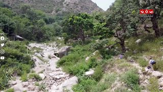 وادي جنات في تعز ...  التاريخ والطبيعة الخلابة