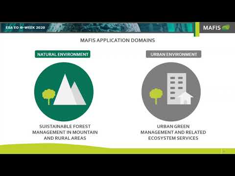 249 MAFIS Multiple Actors Forest Information Service EO, AI and ODC for scalable forest monitoring