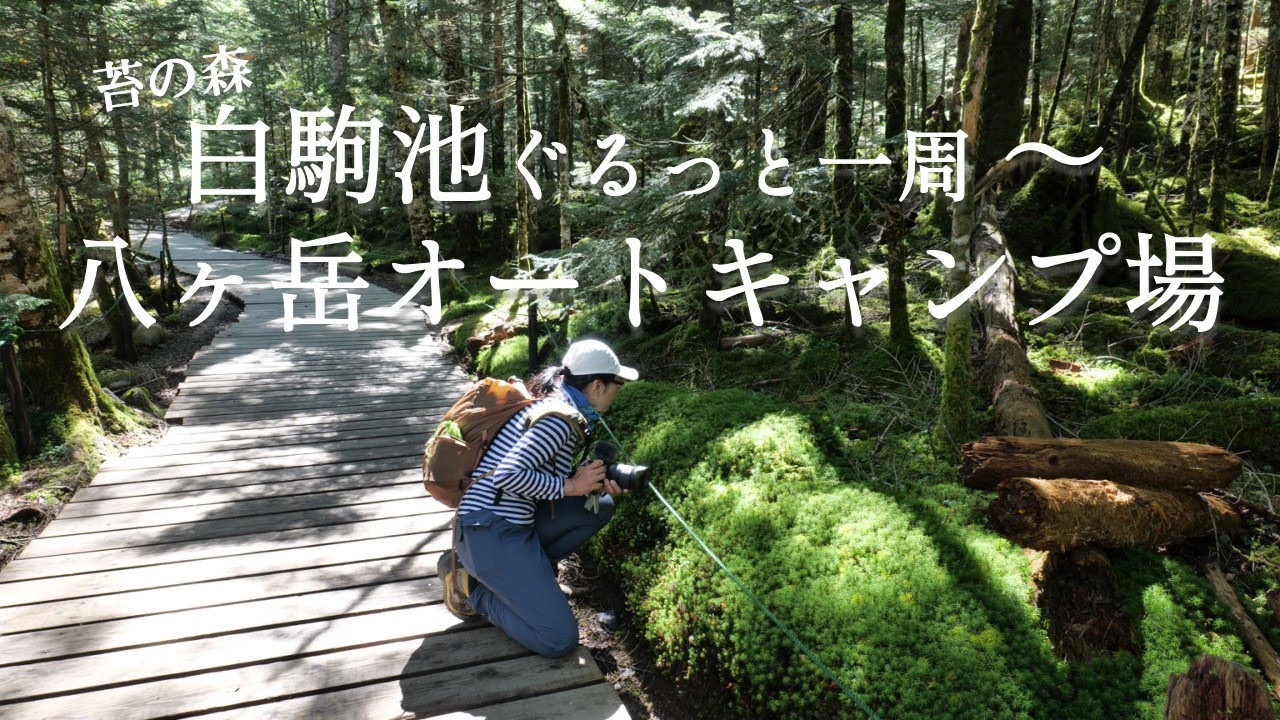 【4K映像】白駒池を堪能して八ヶ岳オートキャンプ場でノンビリ2泊【モーションラプス】