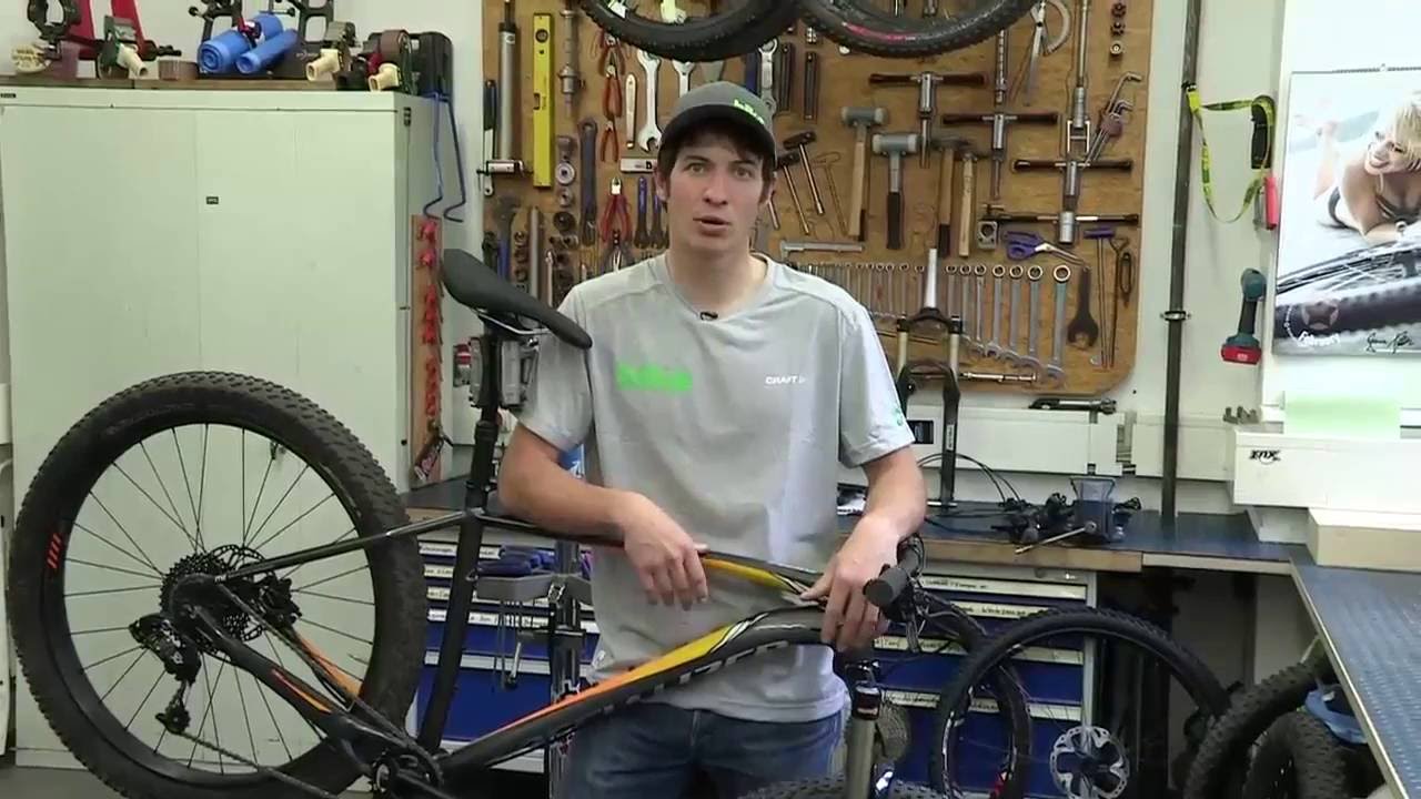 Plus-Hardtails im BIKE-Test