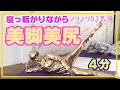 DJ筋トレ★寝たままできる脚痩せ美尻トレーニング3選!Butt&Leg Workout