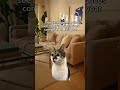 That face when… you see today’s home prices compared to last year.