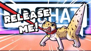 Adopt A Furry In Vrchat - Vrchat Highlights