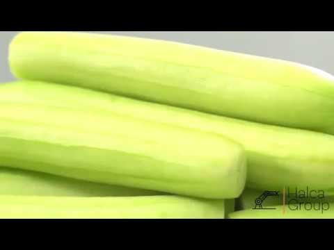 ბოსტნეულის საფცქვნელი ავტომატური დანადგარი • Vegetable Peeling Machine