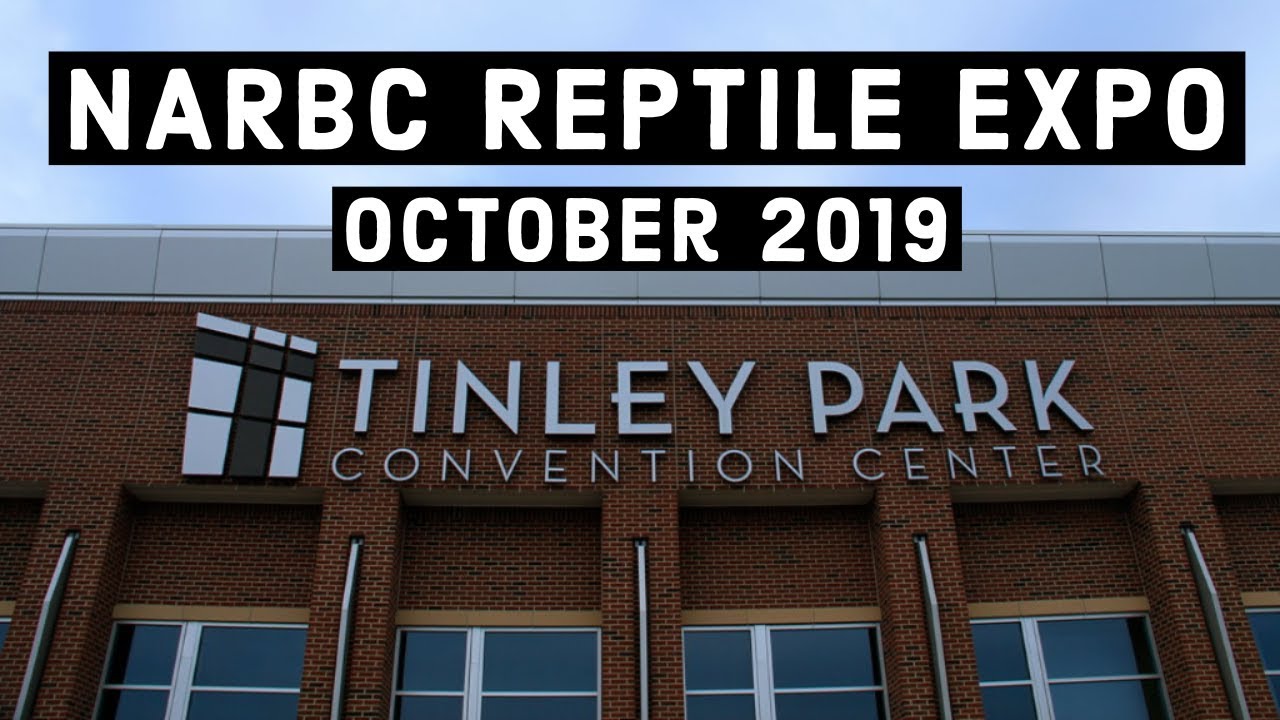 Tinley Park NARBC Reptile Expo Part 1 YouTube