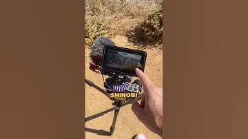 Camera Control From Your MONITOR! Atomos Shinobi ii.