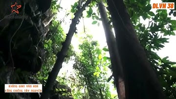 Không gian văn hoá Cồng chiêng Tây Nguyên || DLVN 38 || DLAT