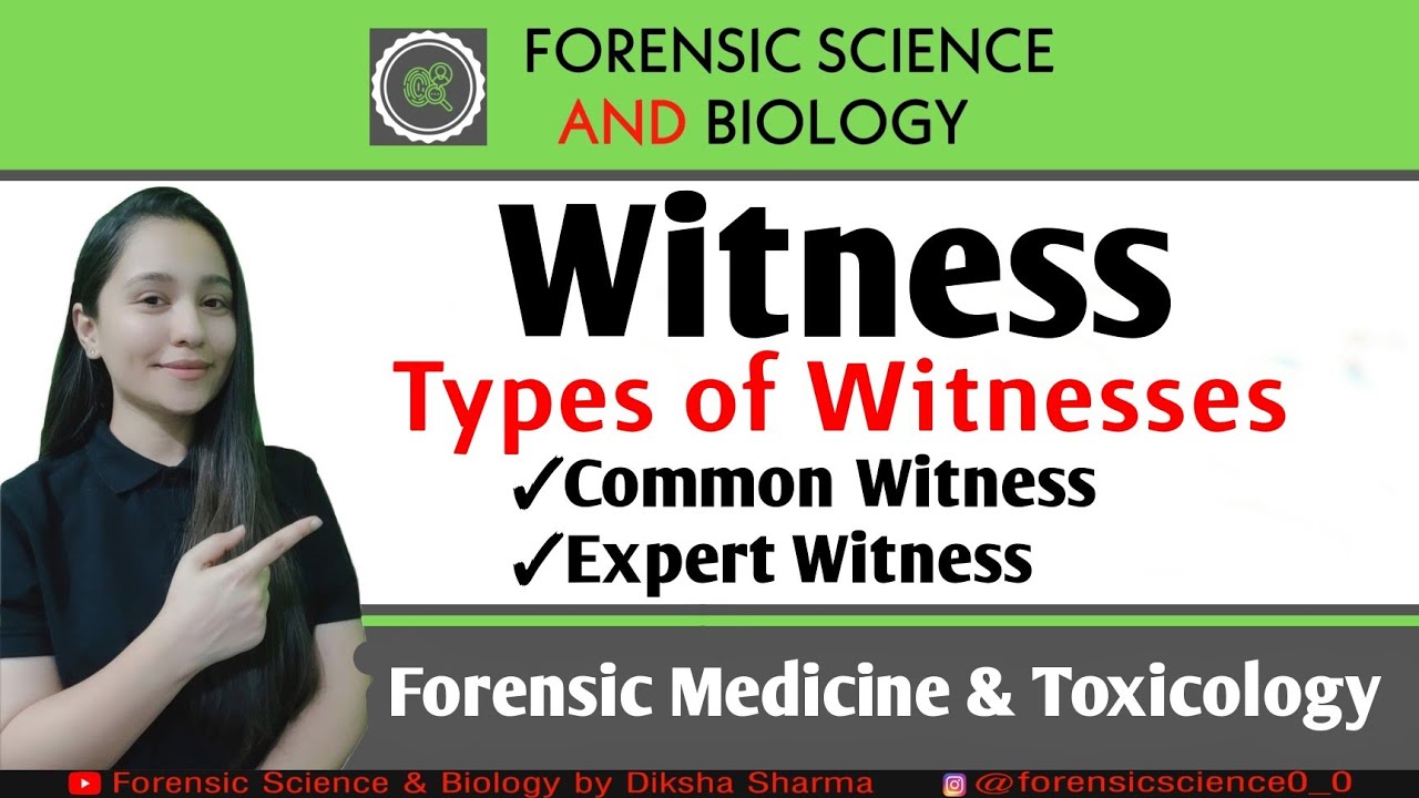 Witness Types of Witnesses Common Witness vs Expert Witness YouTube