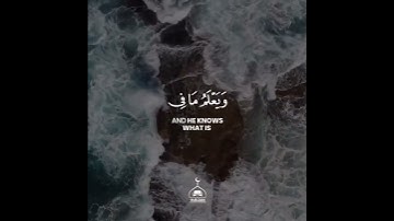 صوته عالم ثاني - أجمل حالات واتس اب قرآن کریم بصوت جميل جدا ❤️ ✨ |  Quran Status | القارئ طارق محمد
