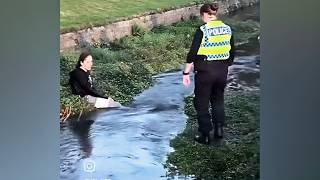 Quintessentially British Memes #84