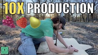 Quick and Easy Permaculture Fruit Tree Guild from Tractor Supply!