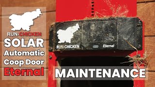 Maintenance of RUN-CHICKEN Eternal door