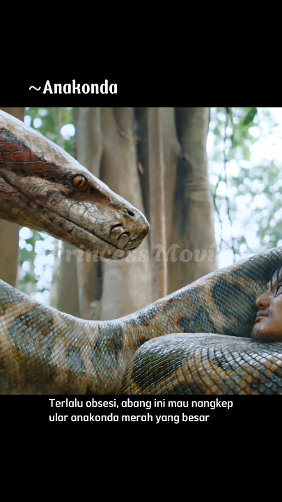 Very large Red Anaconda snake #shorts #short