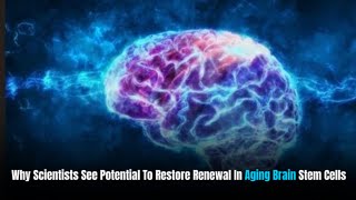 New brain discovery could help reverse the effects of aging
