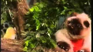 Peter & The Wolf A Prokofiev Fantasy Part 3