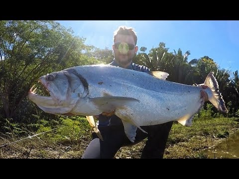 Um gigante na linha. PESCARIA DE ESPERA com vara e molinete.