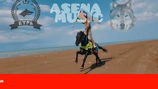 Asena #music #tiktok  #asena Resimi